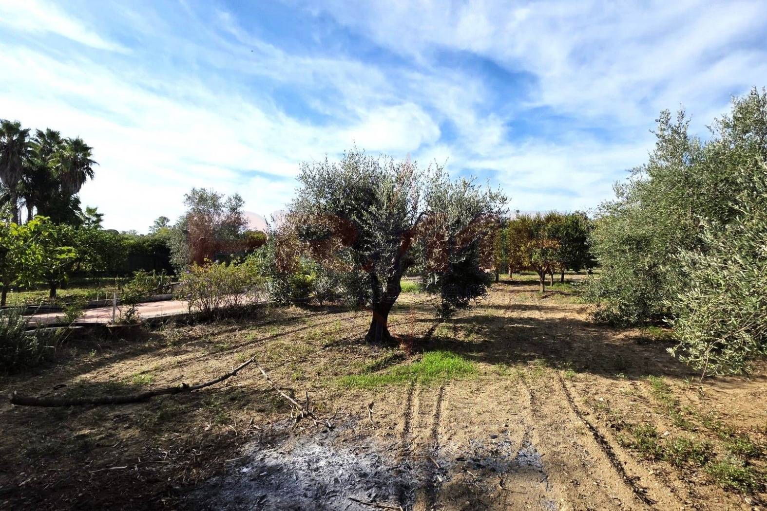 Terreno Terreno