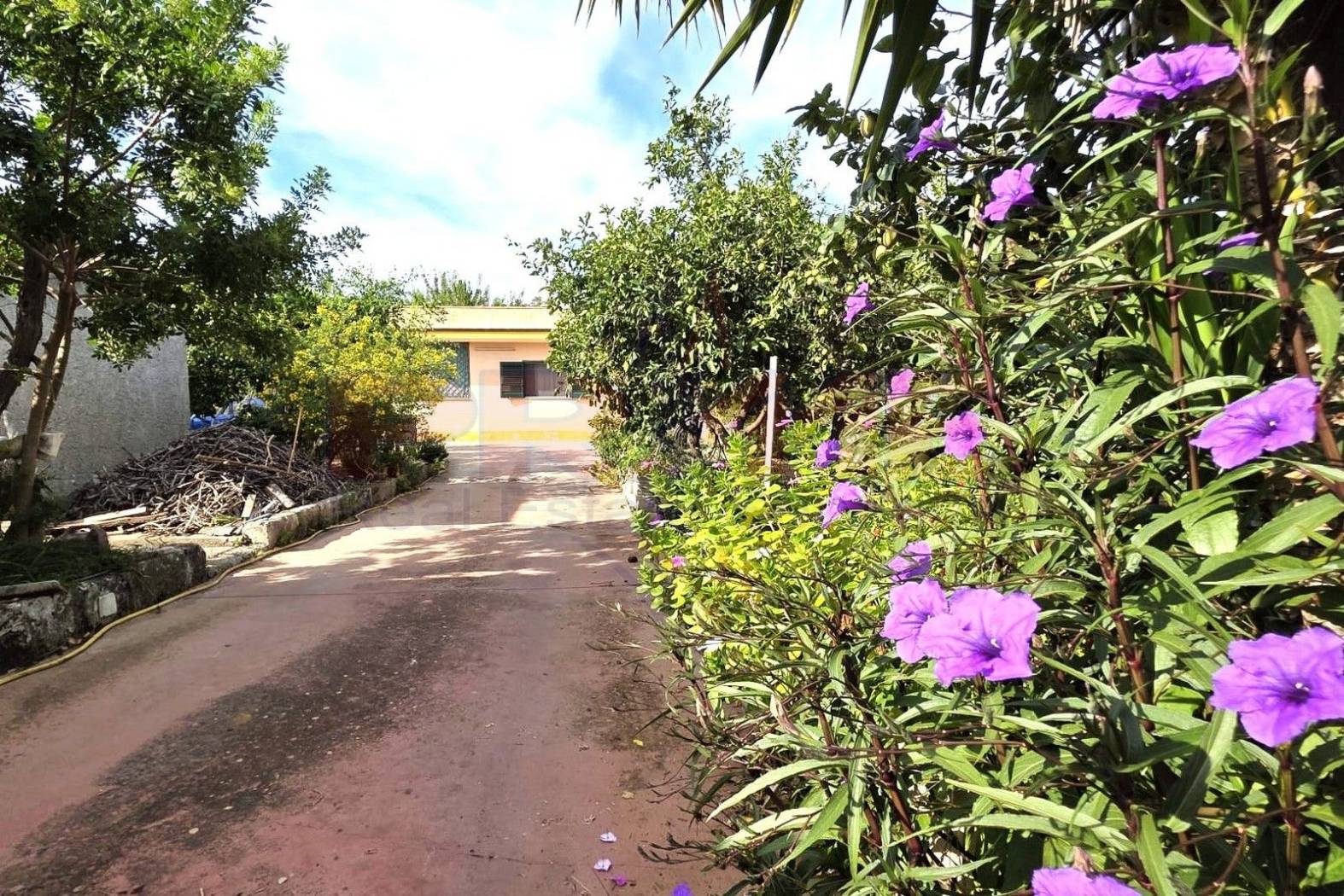 Giardino Giardino
