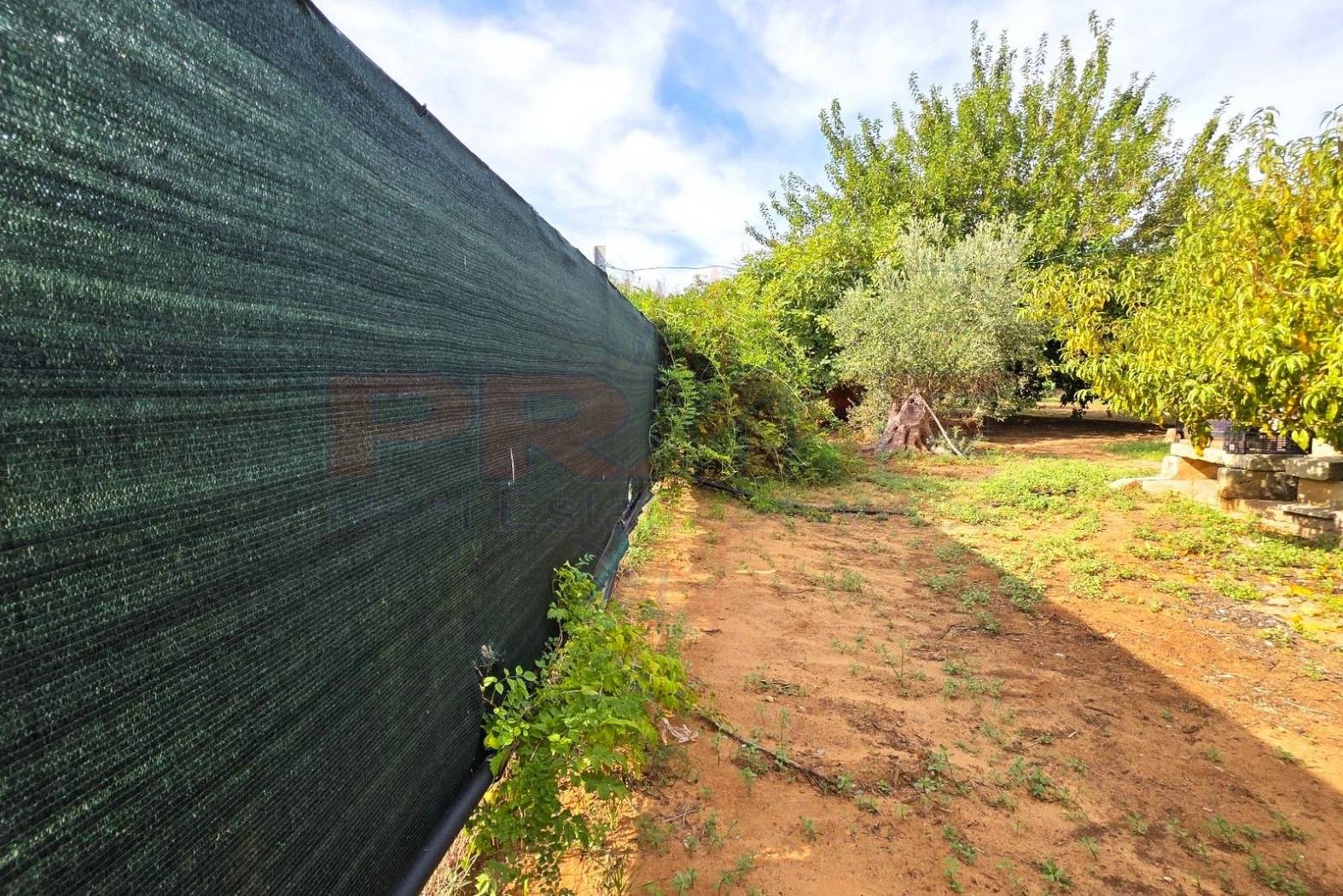 Terreno Terreno