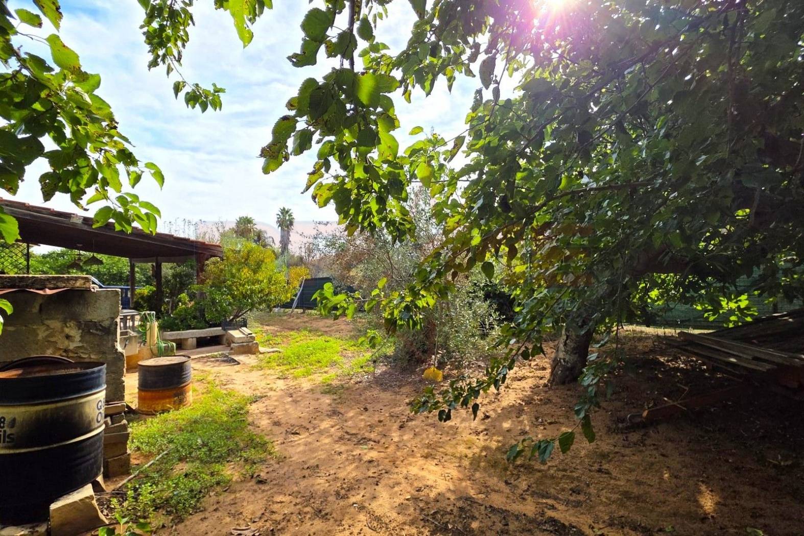 Giardino Giardino
