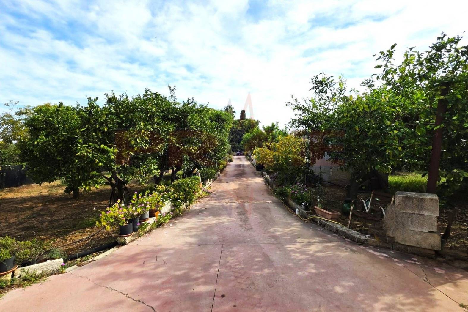 Zona Zona