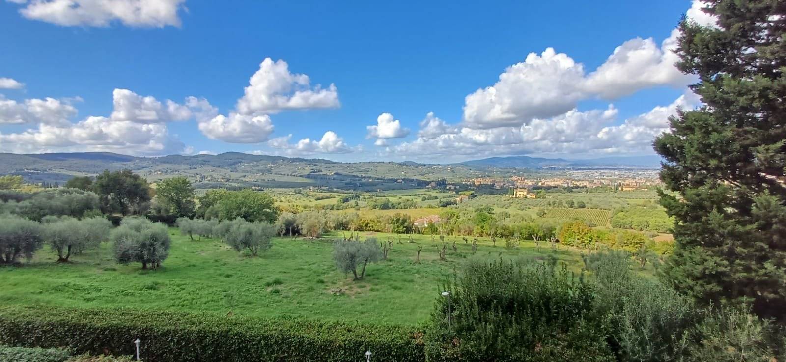 Vista