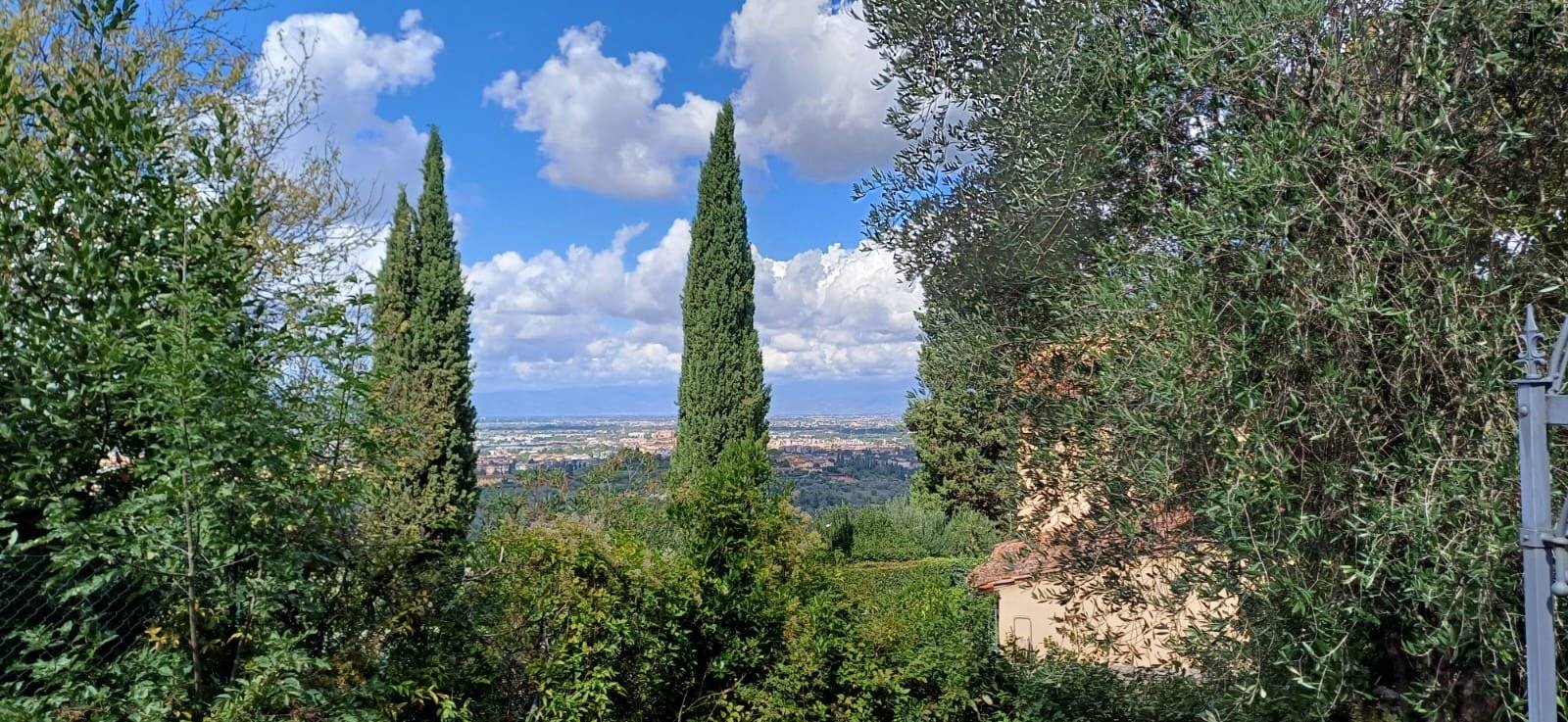 Vista