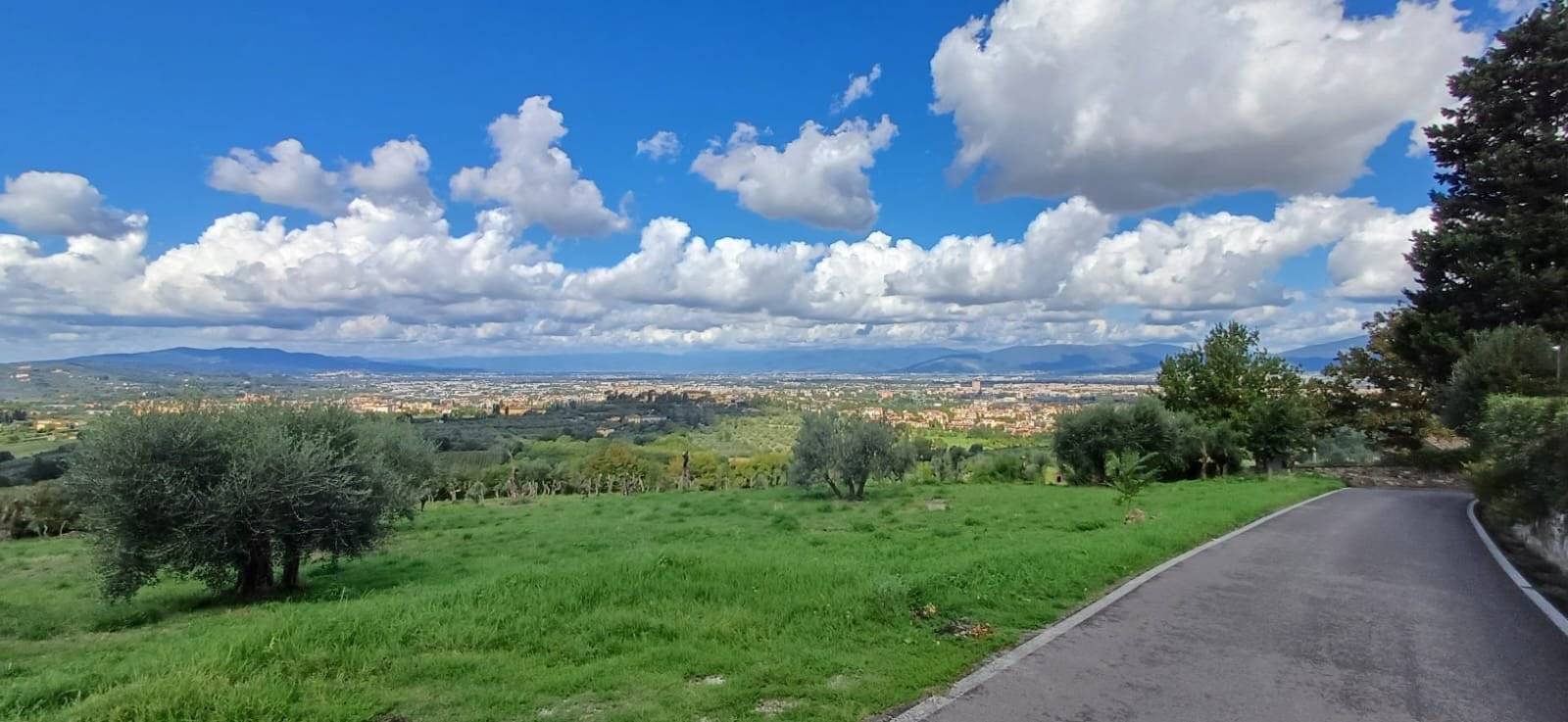 Terreno