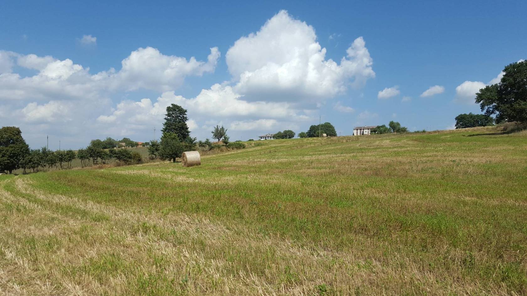 Vista