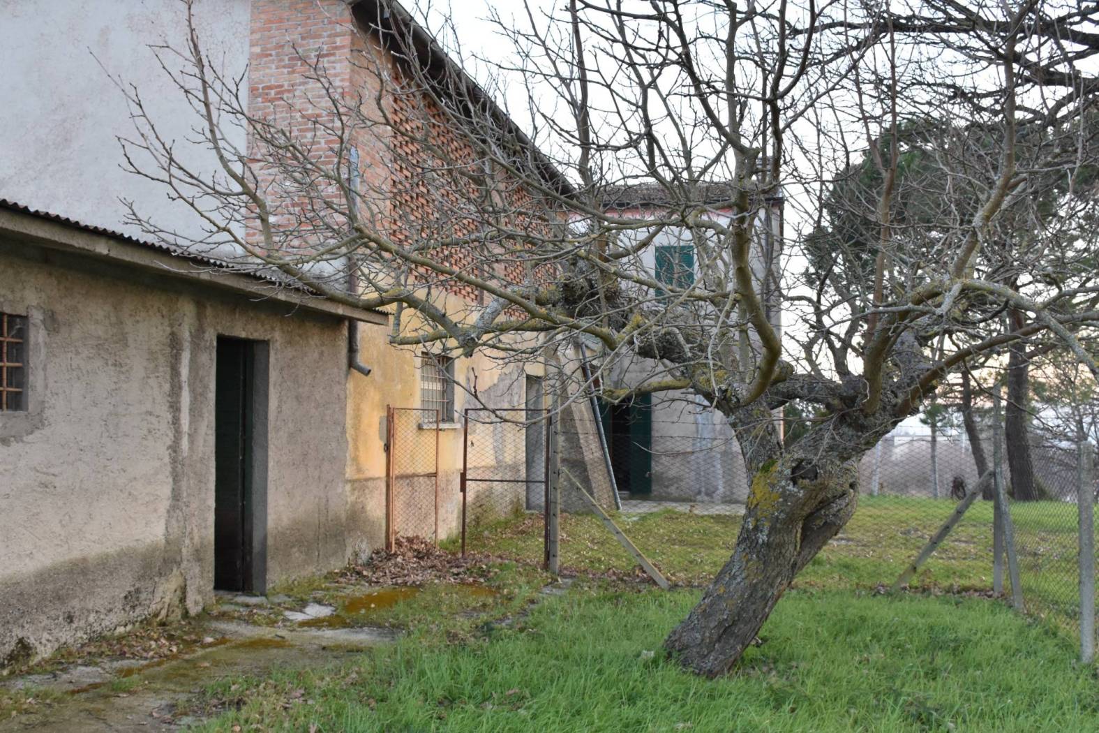 Terreno
