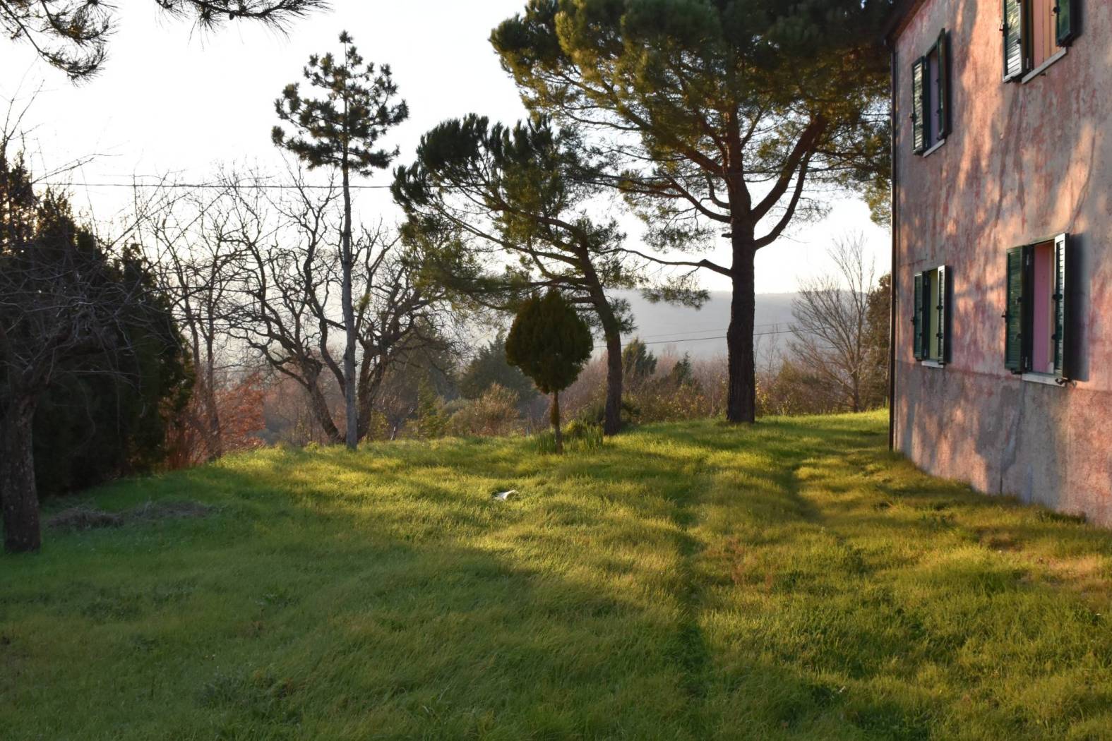 Terreno