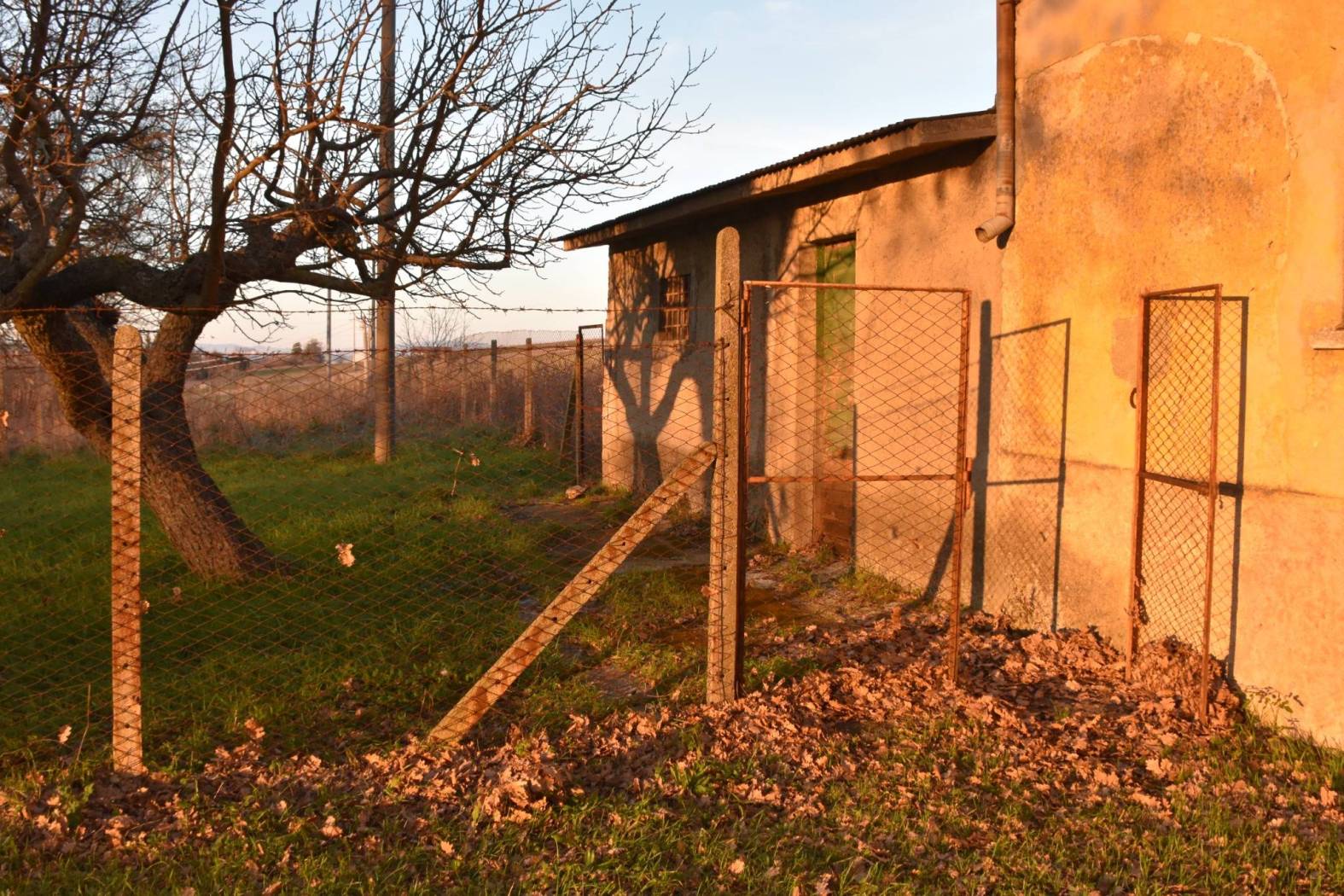 Terreno