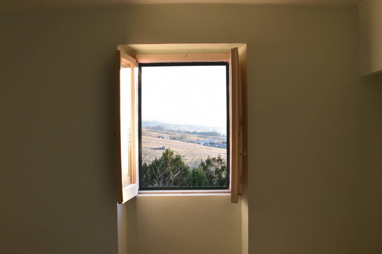 Vista