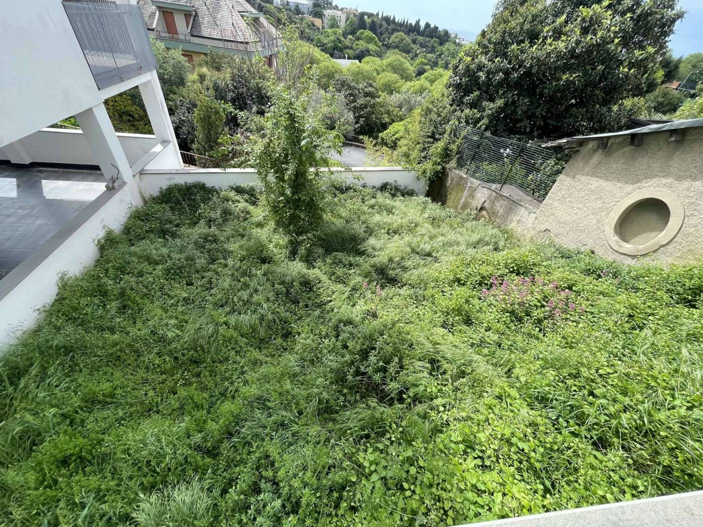Giardino
