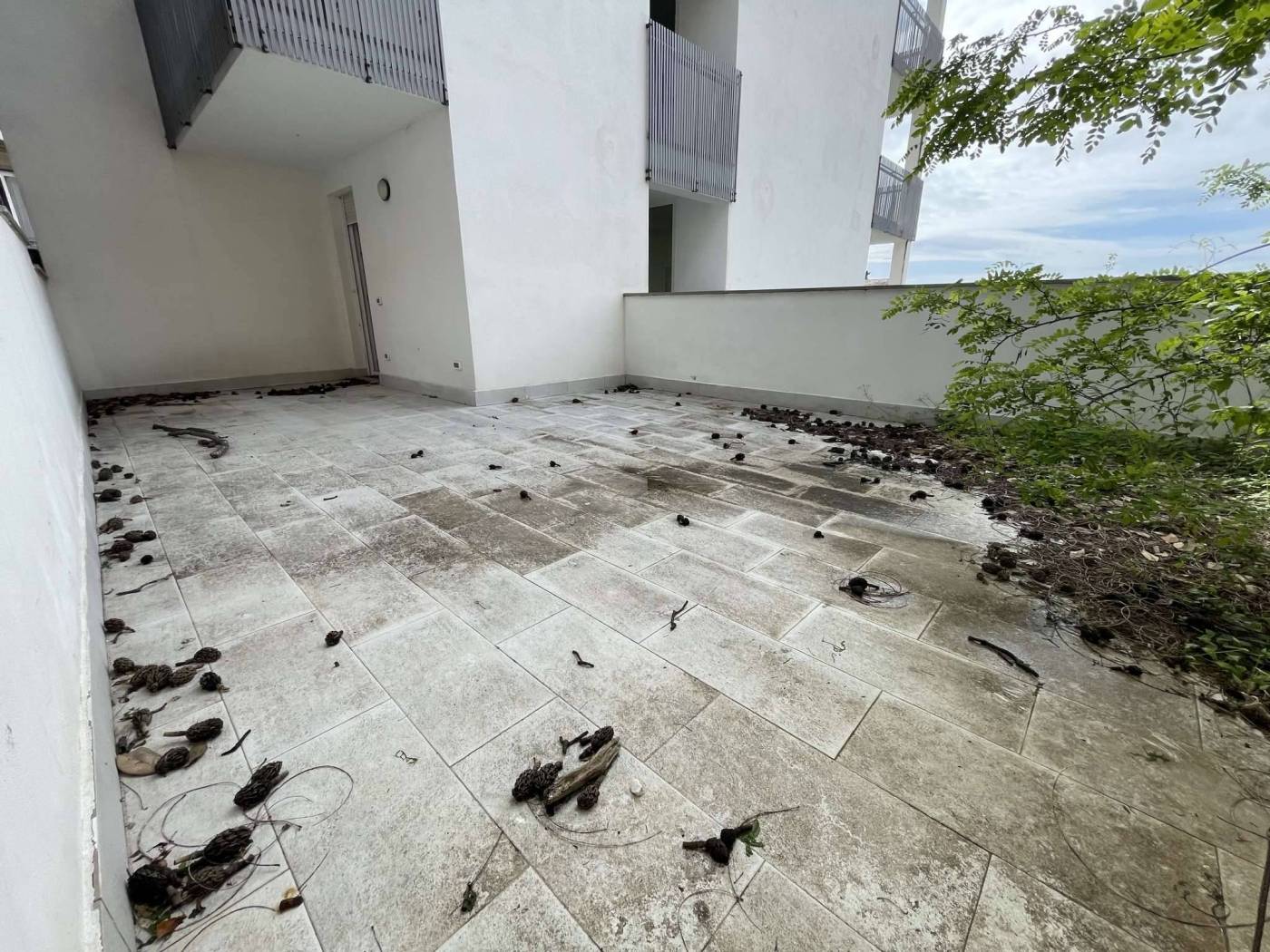 Terrazzo