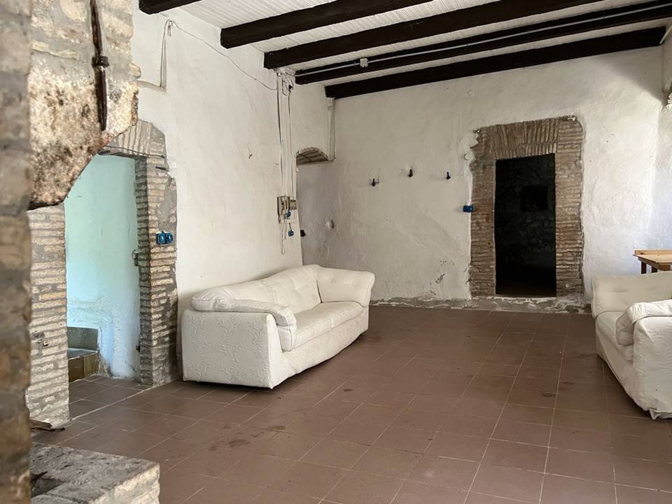 Salone