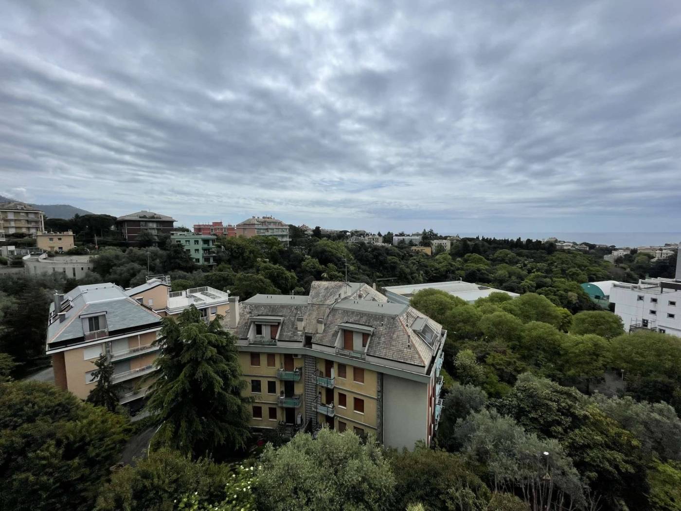 Vista