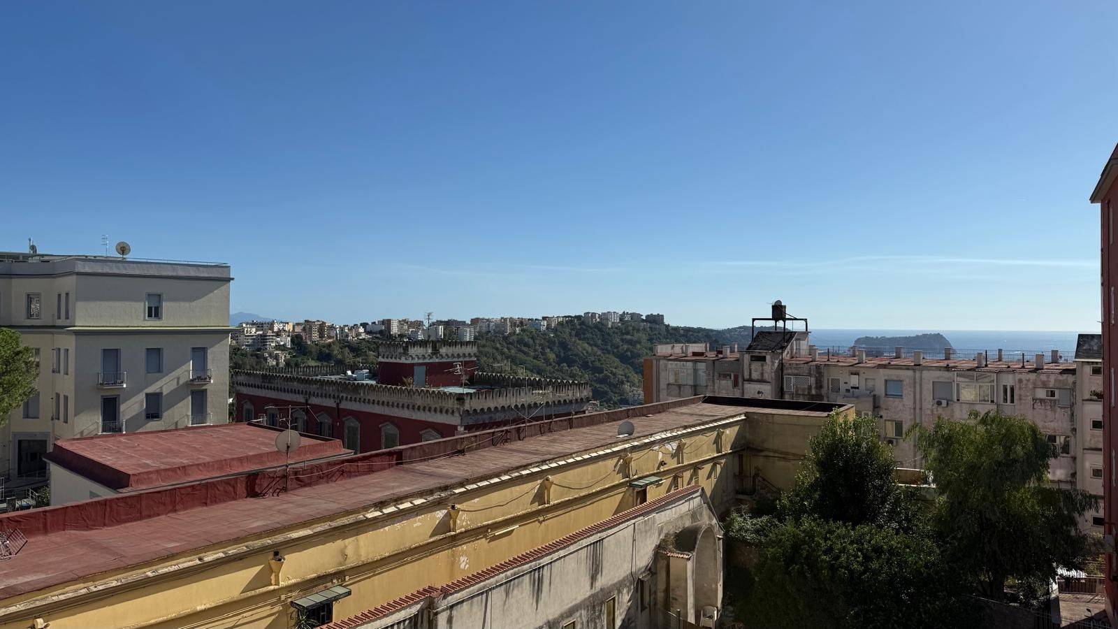 Vista