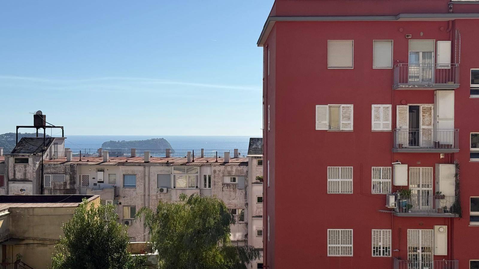 Vista