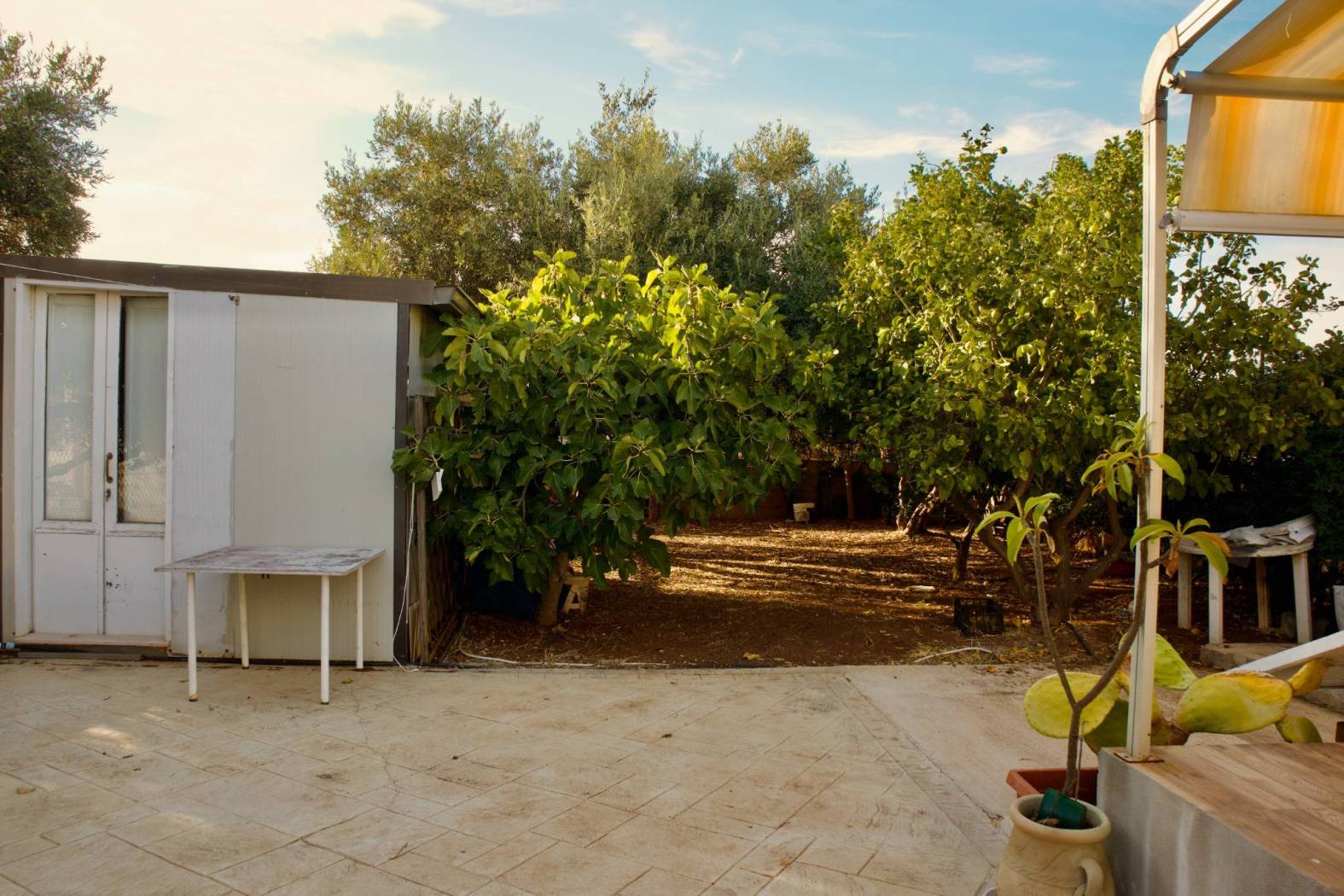 Giardino