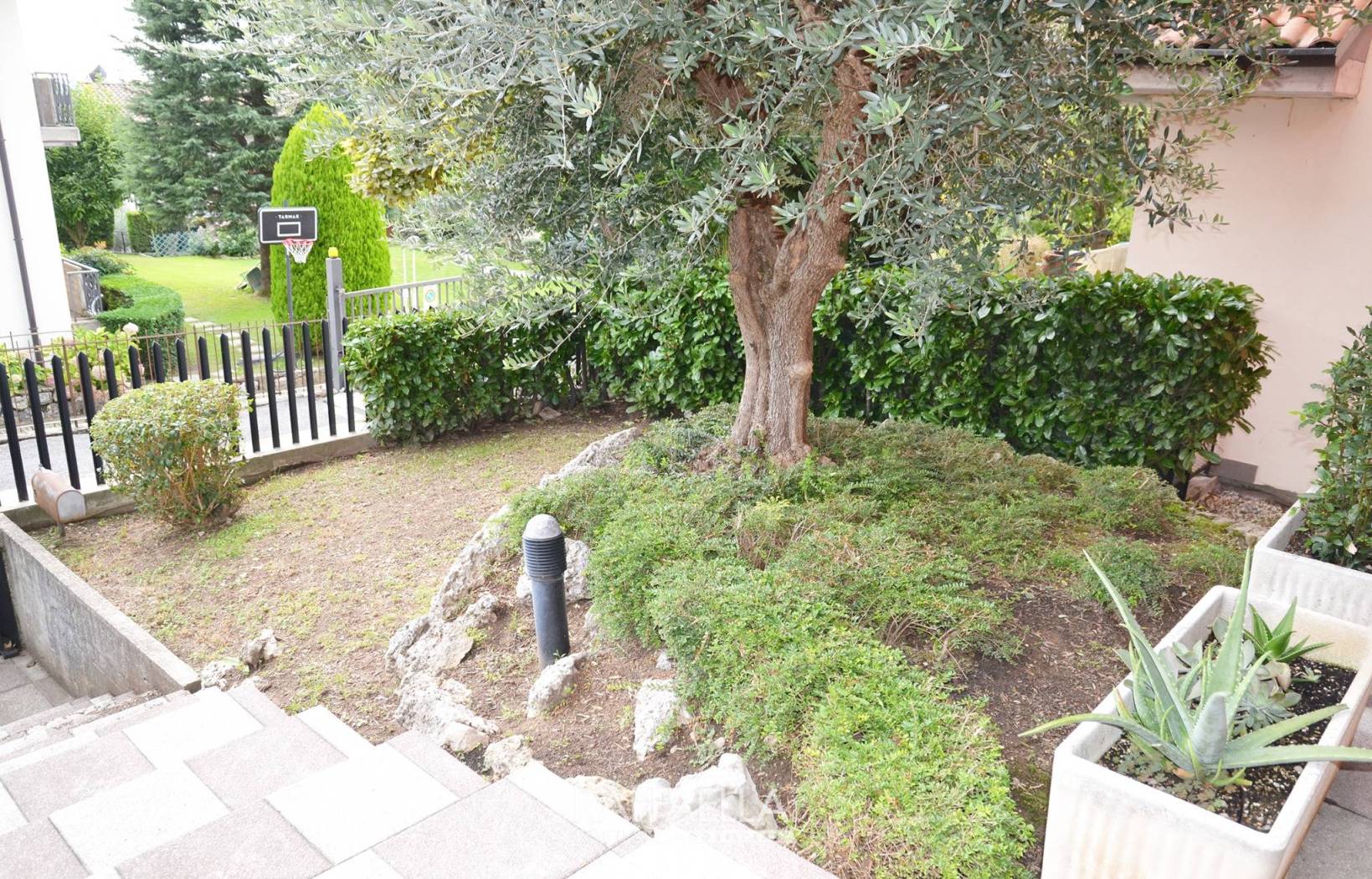 Giardino
