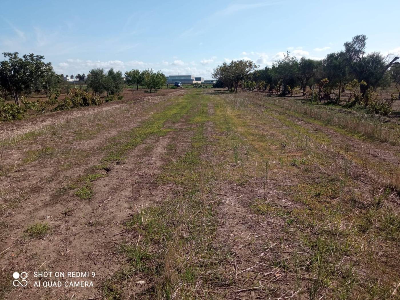 Terreno