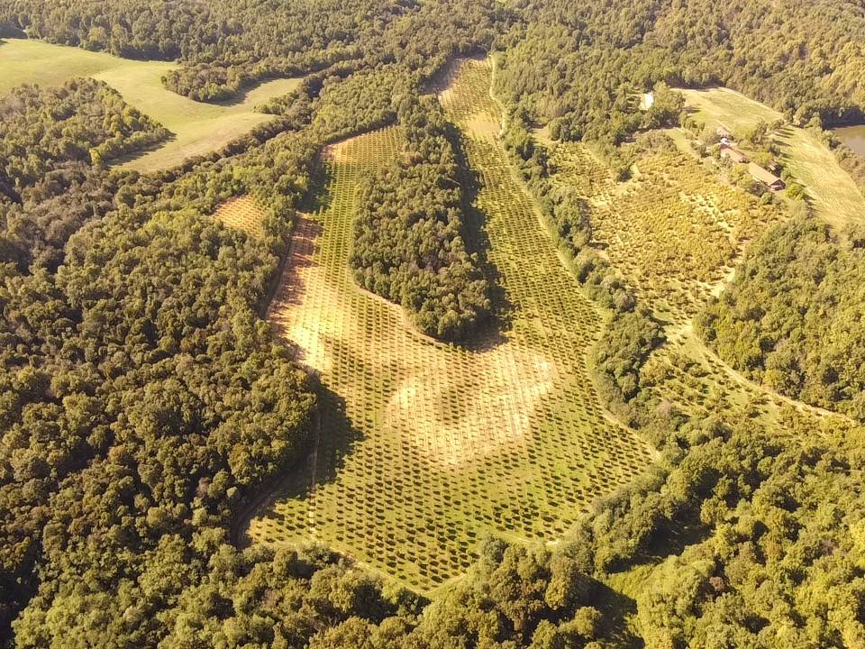 Terreno Terreno