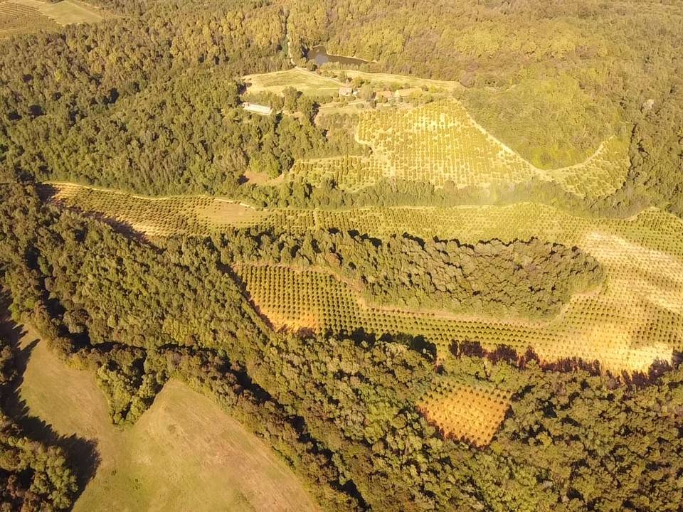 Terreno Terreno