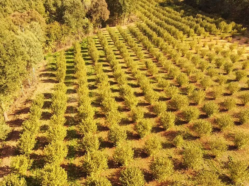 Terreno Terreno