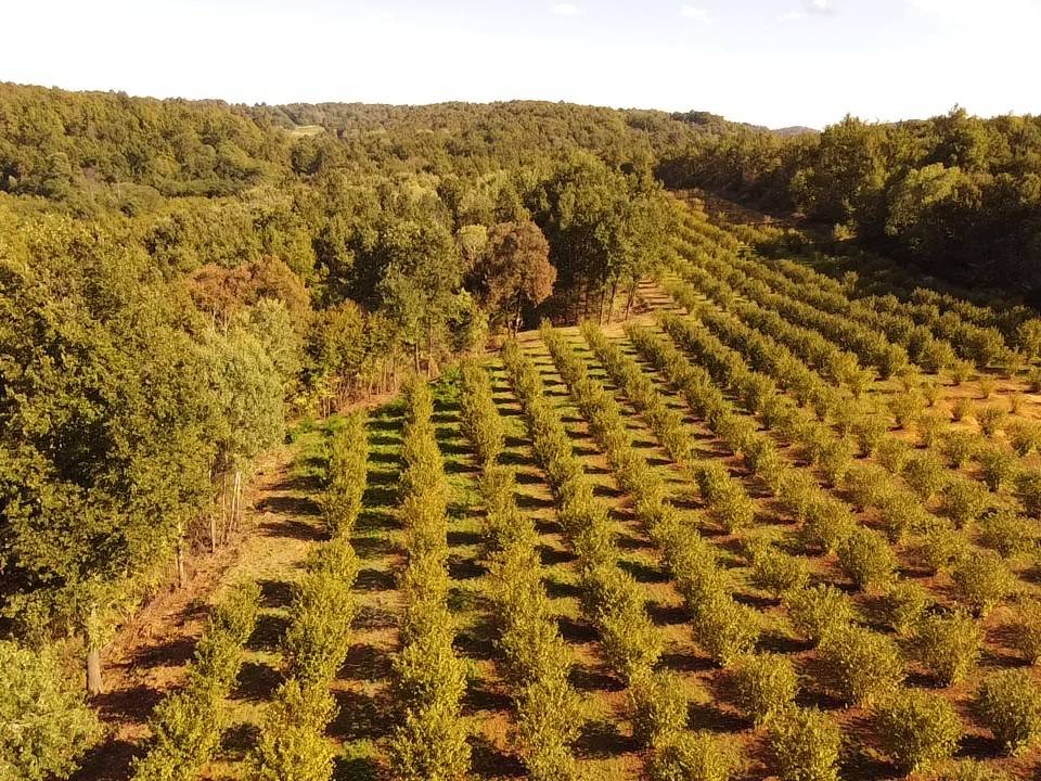 Terreno Terreno
