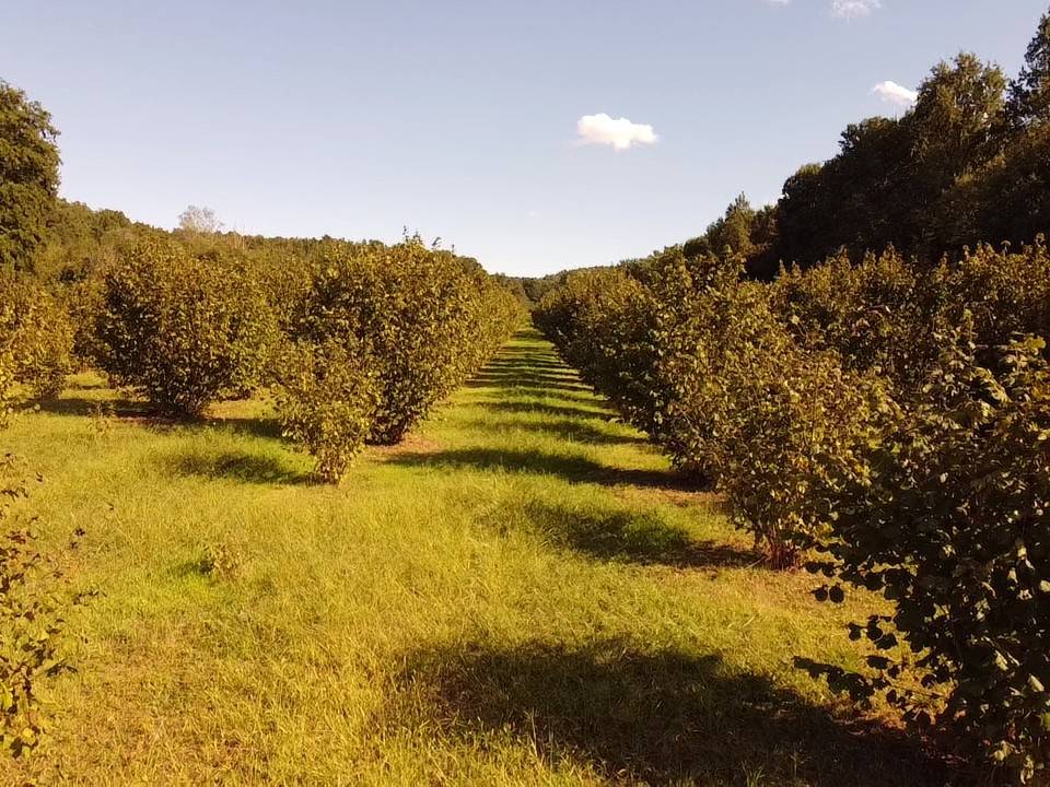 Terreno Terreno