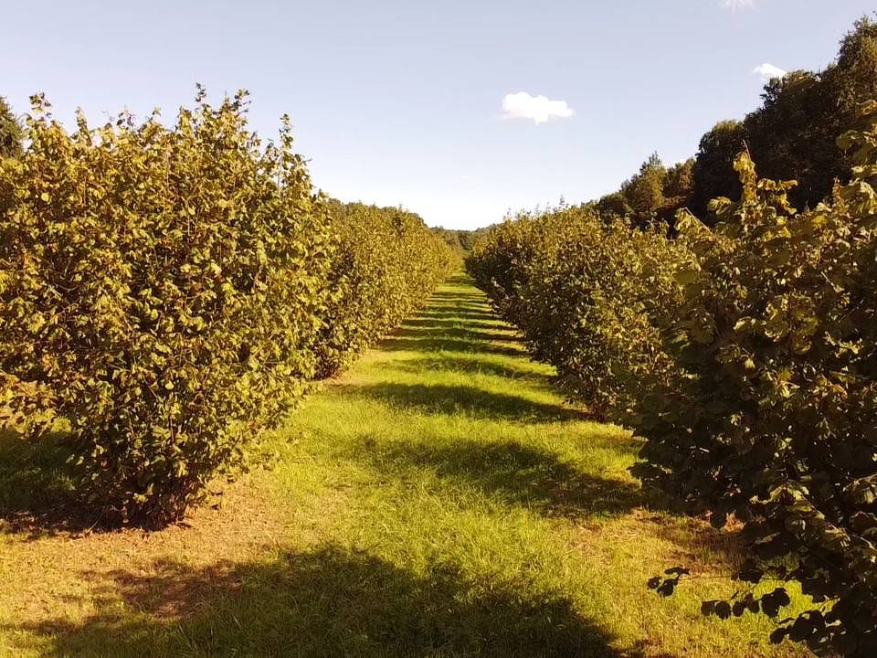 Terreno Terreno