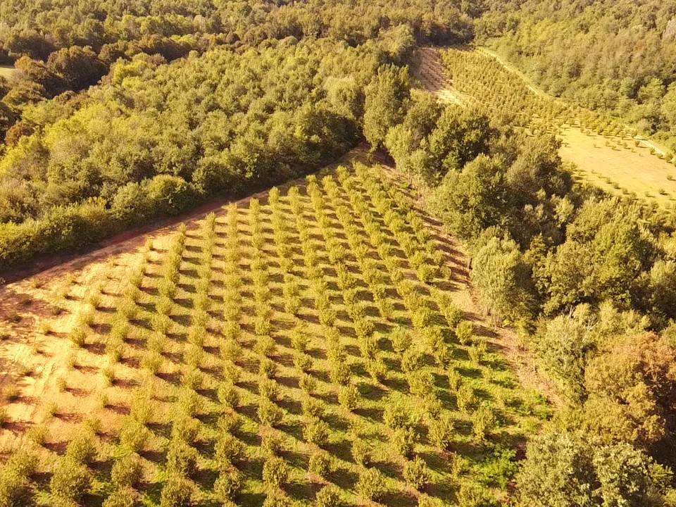 Terreno Terreno