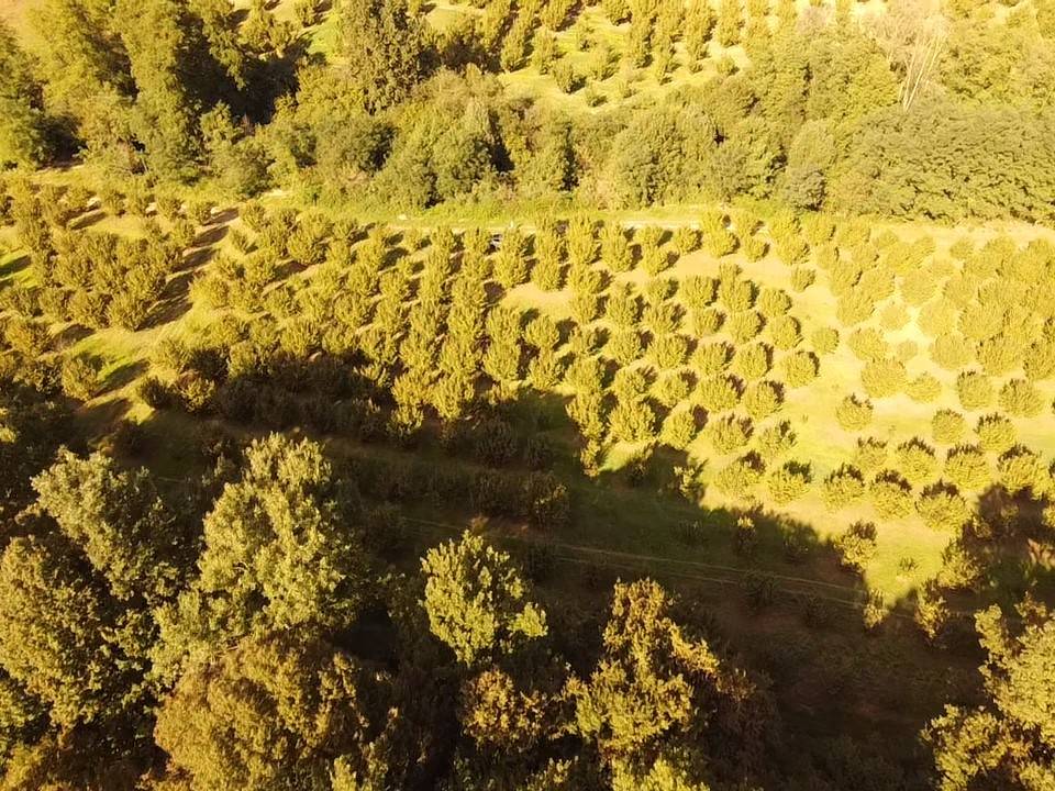 Terreno Terreno