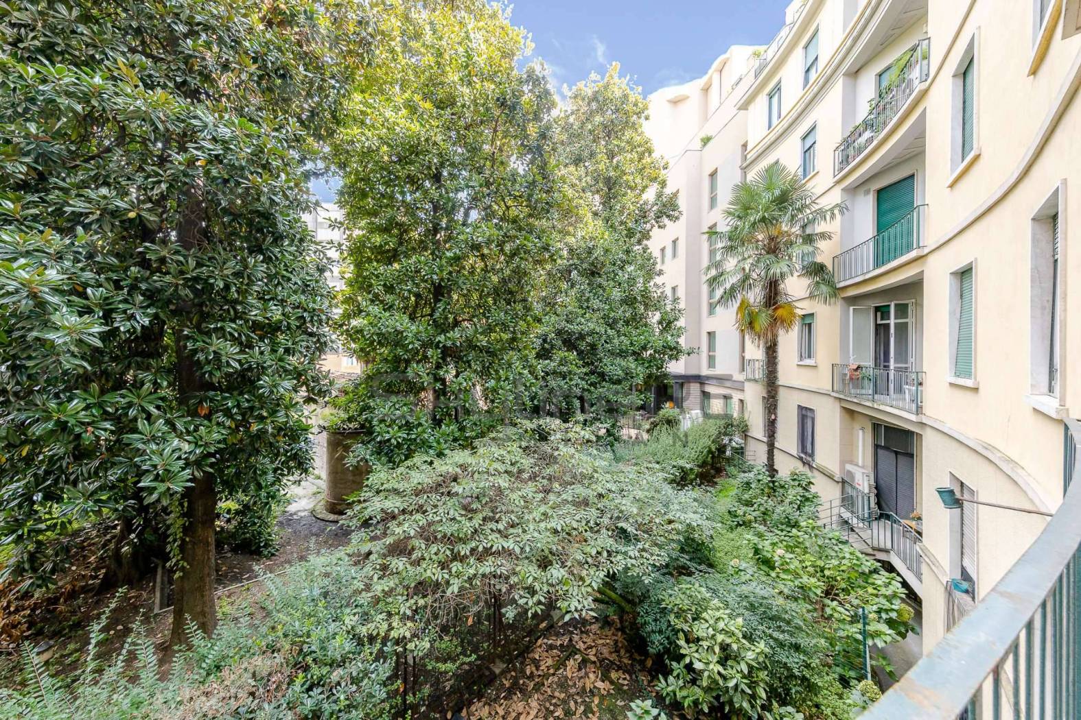 Giardino