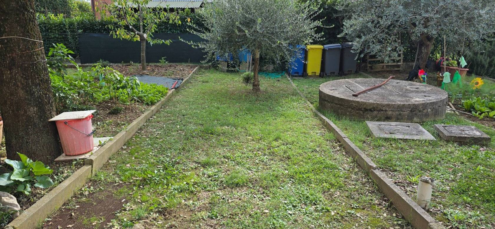 Giardino