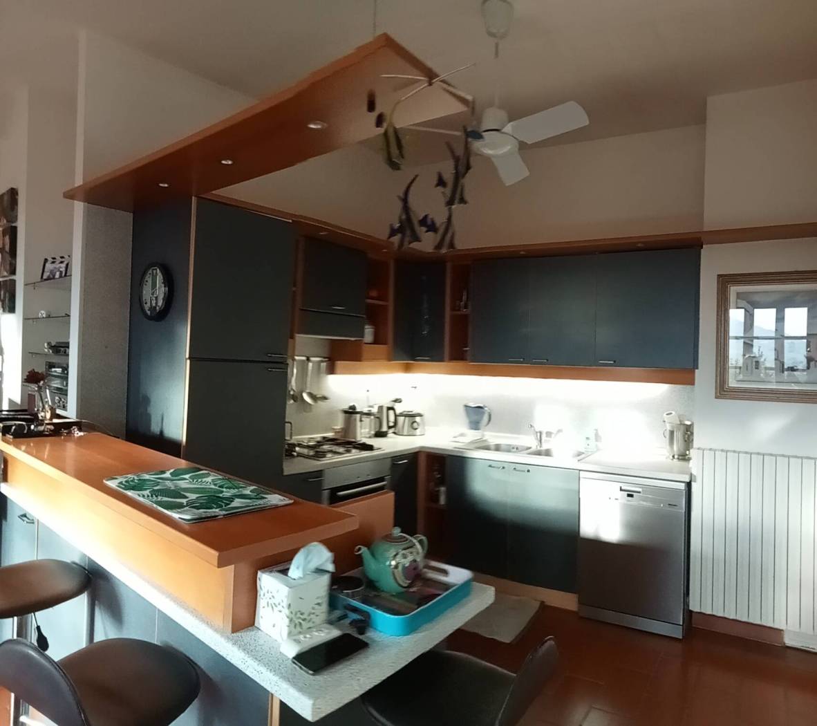 Cucina Cucina