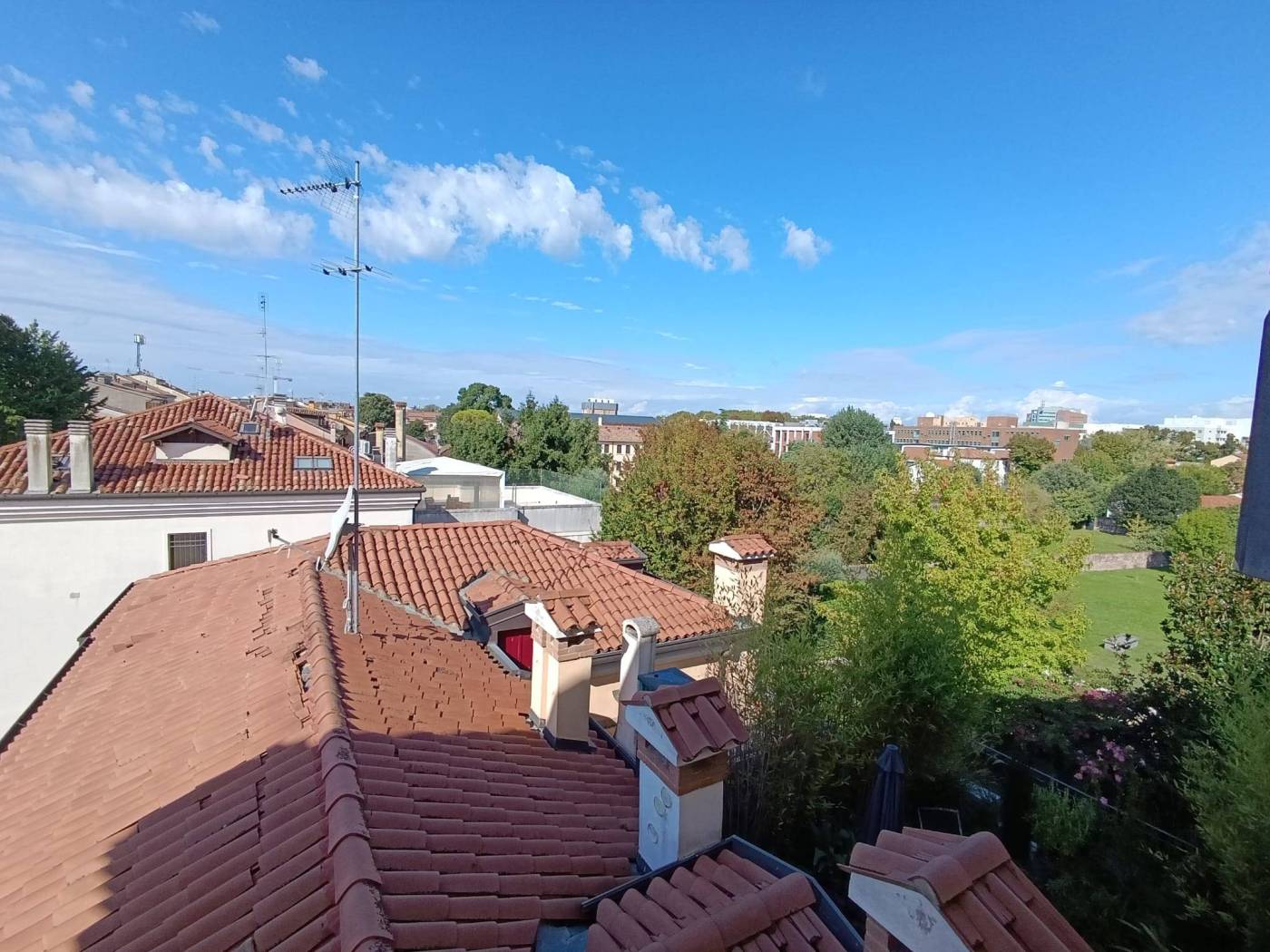 Vista