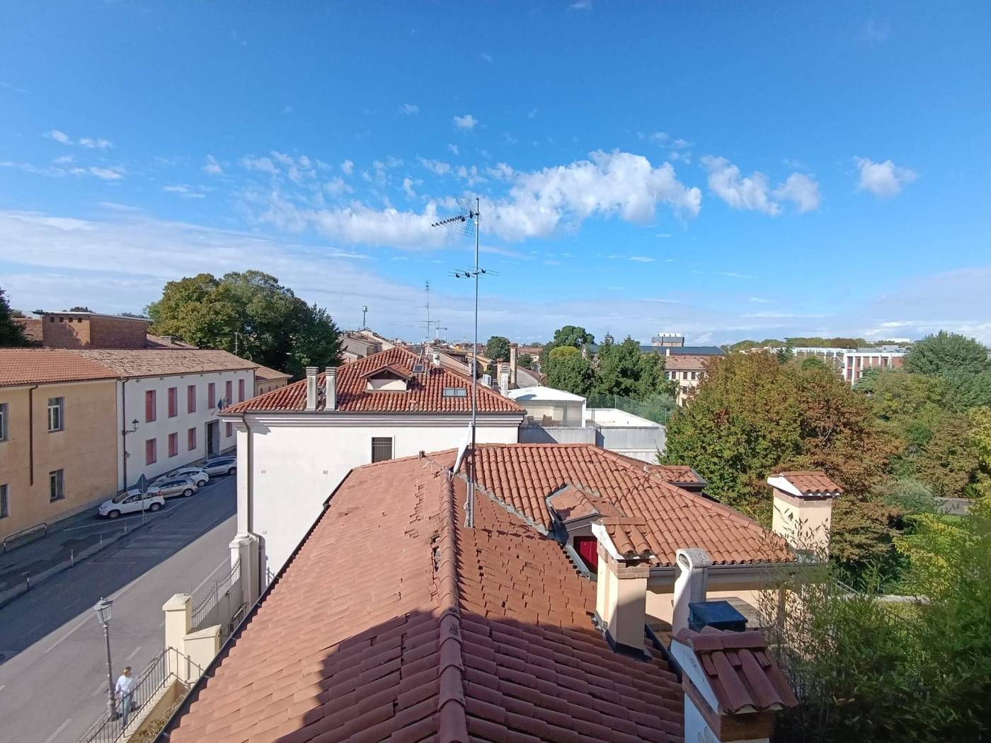 Vista