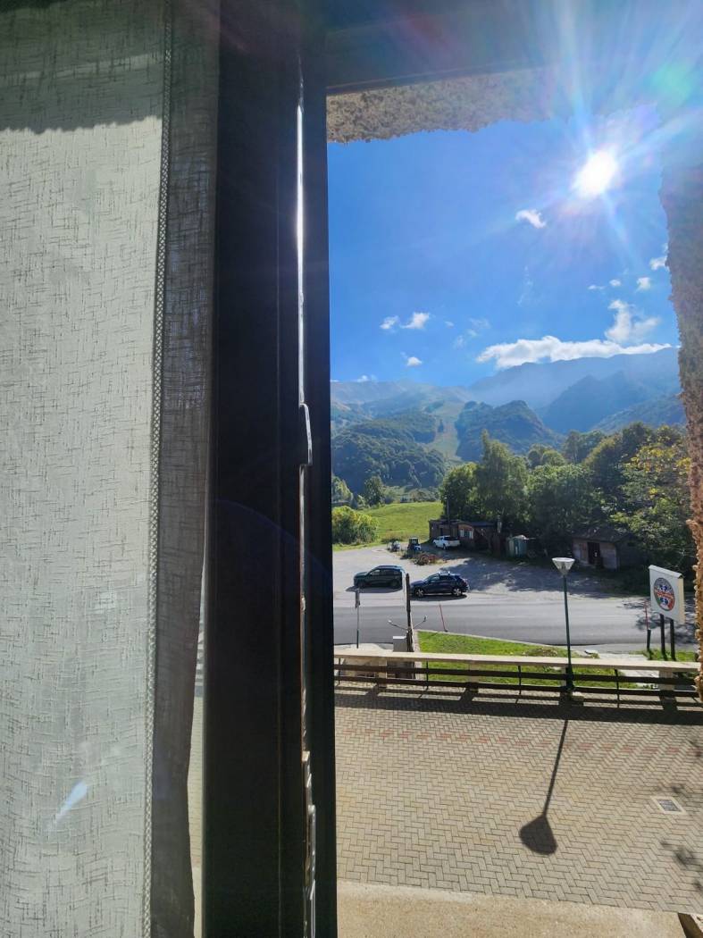 Vista