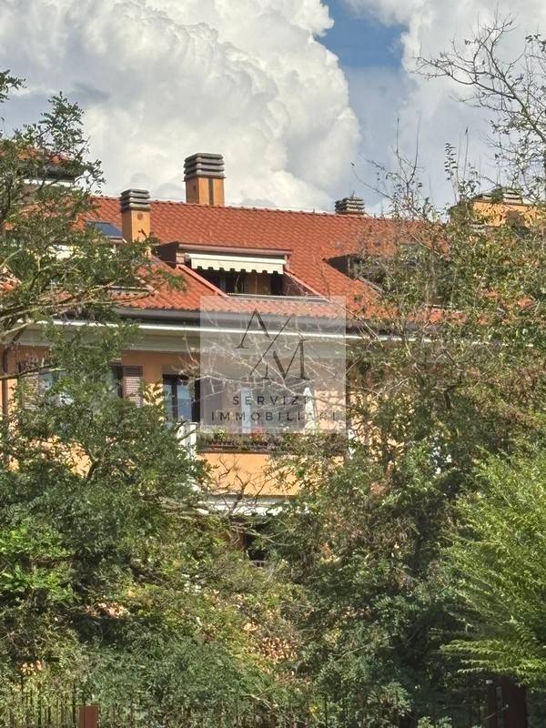 Vista
