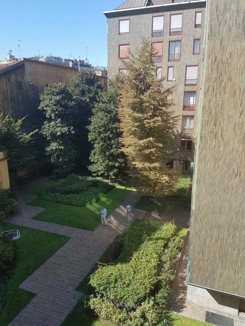 Vista