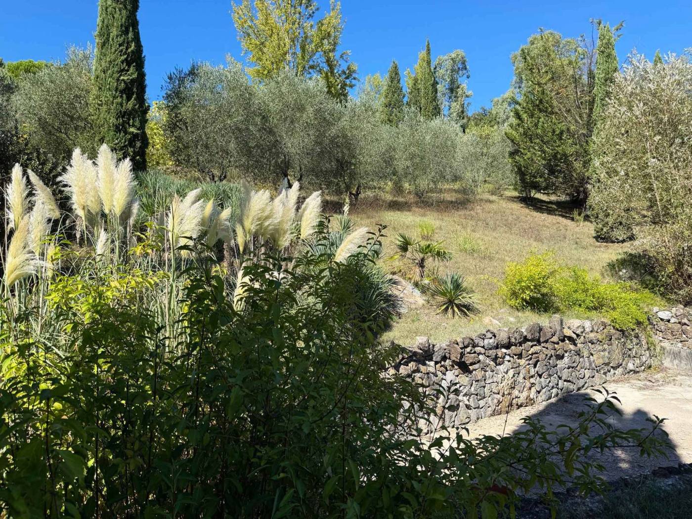 Terreno
