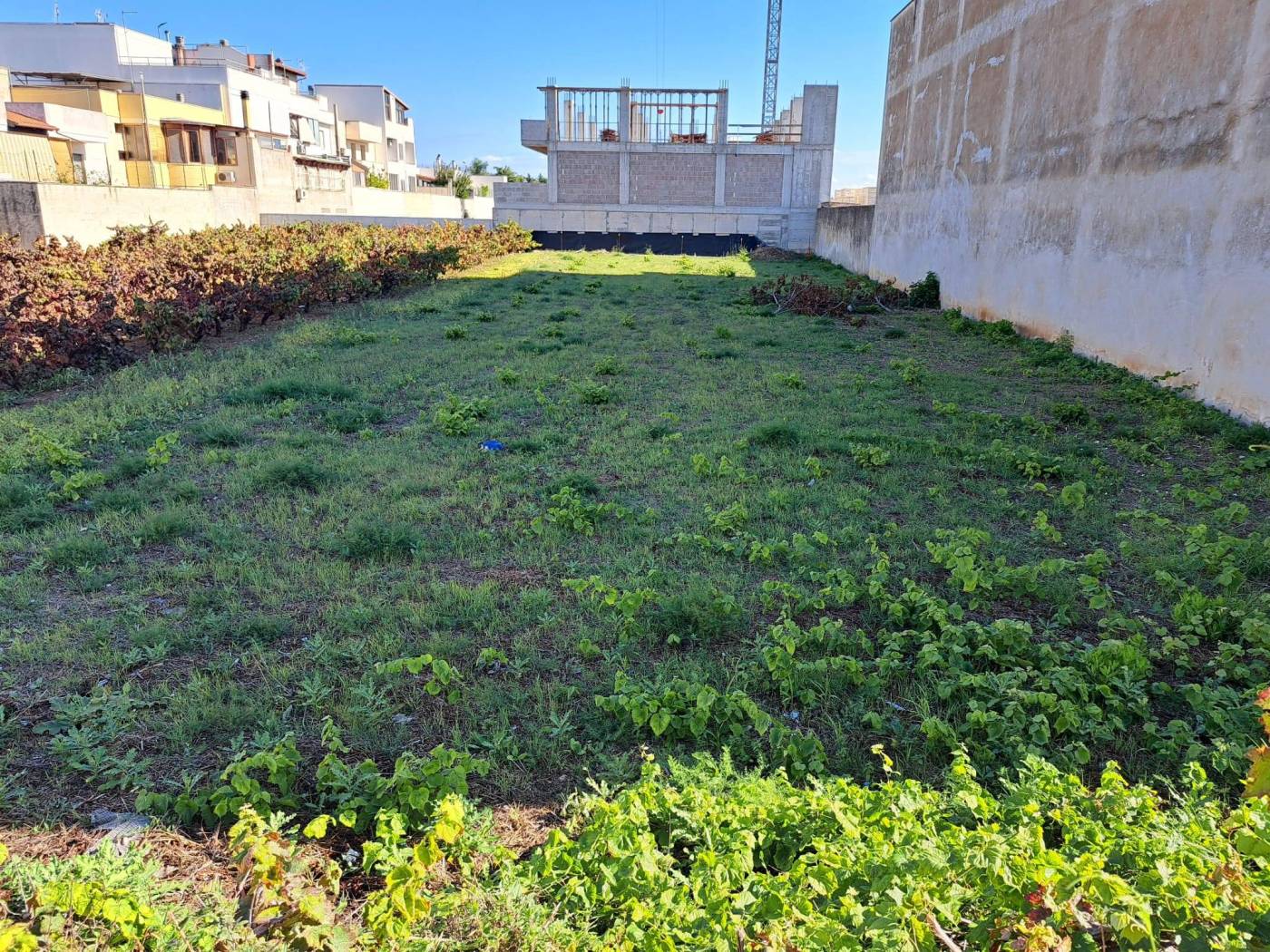 Terreno