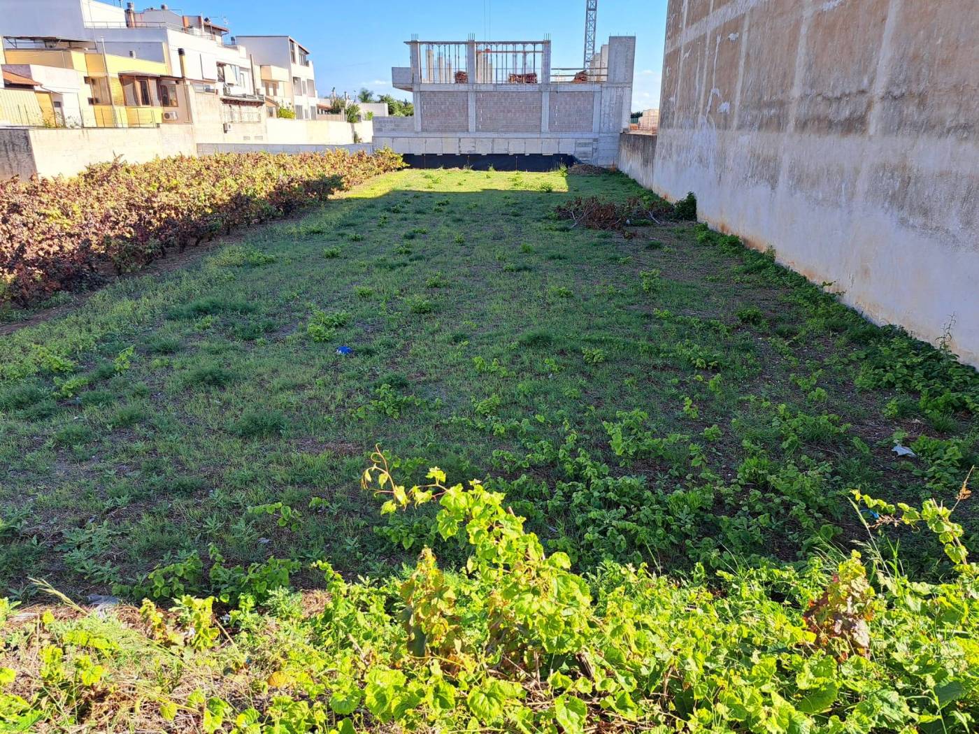 Terreno