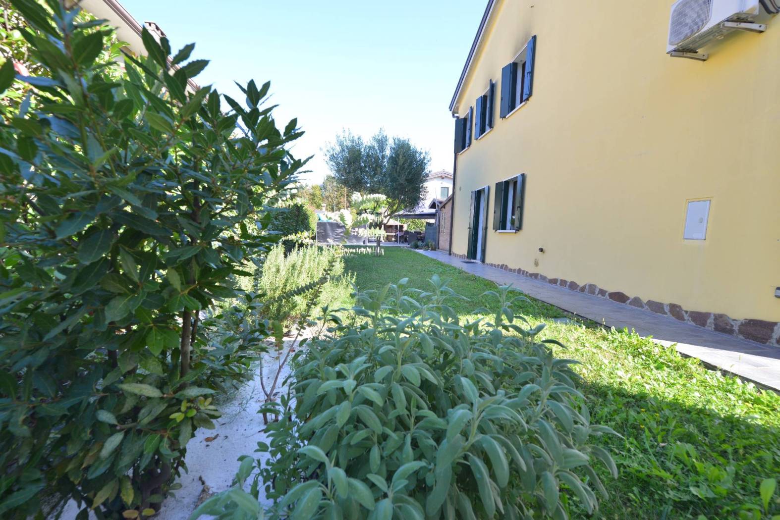 Giardino