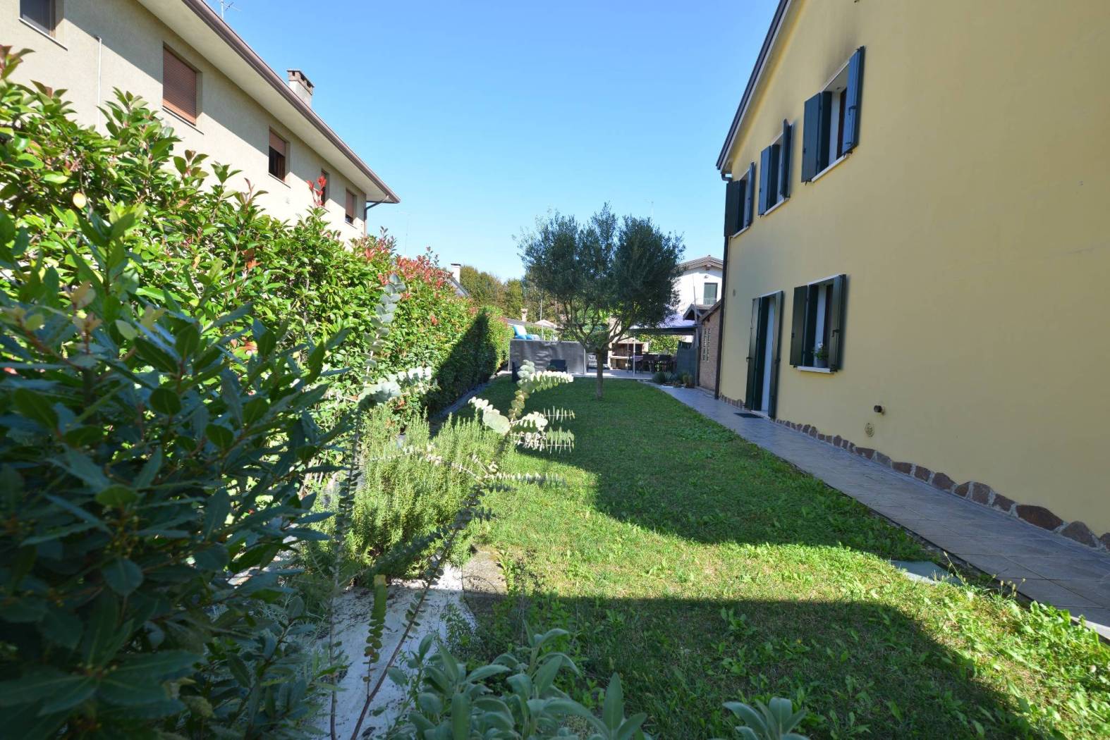 Giardino