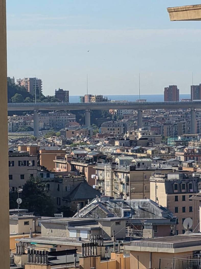 Vista