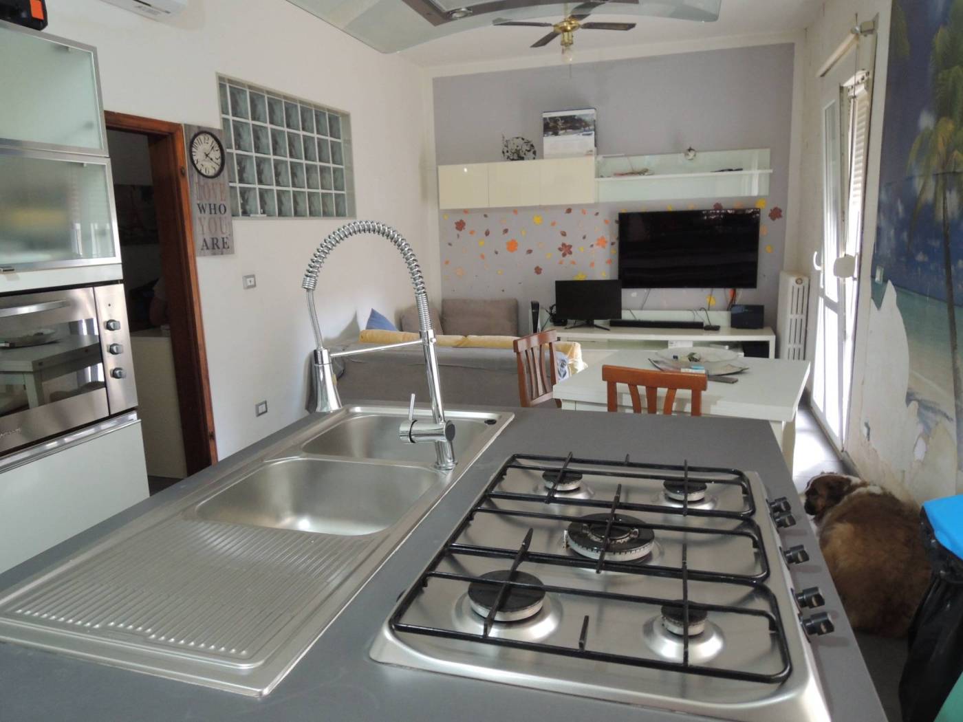 Cucina