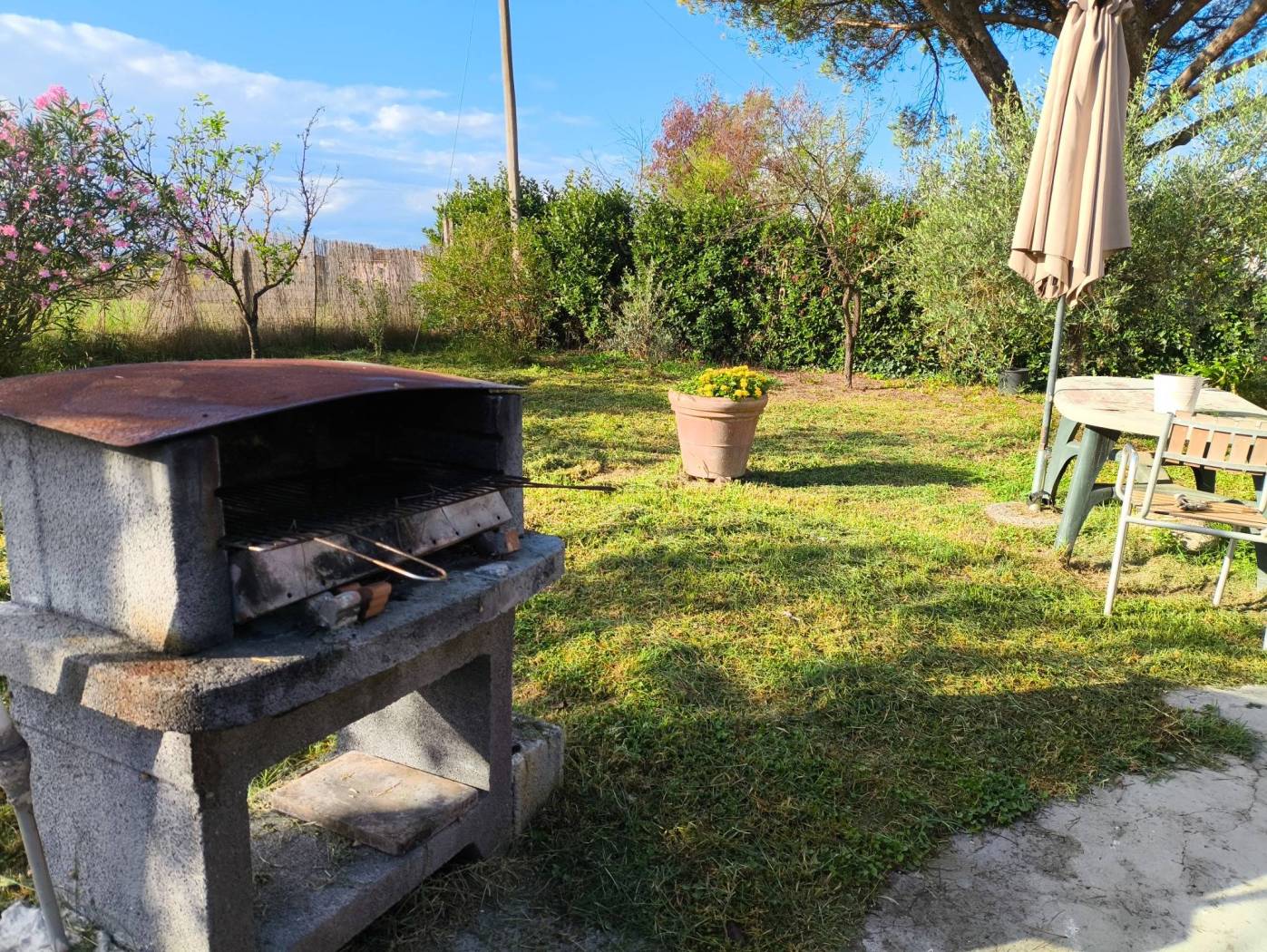Giardino