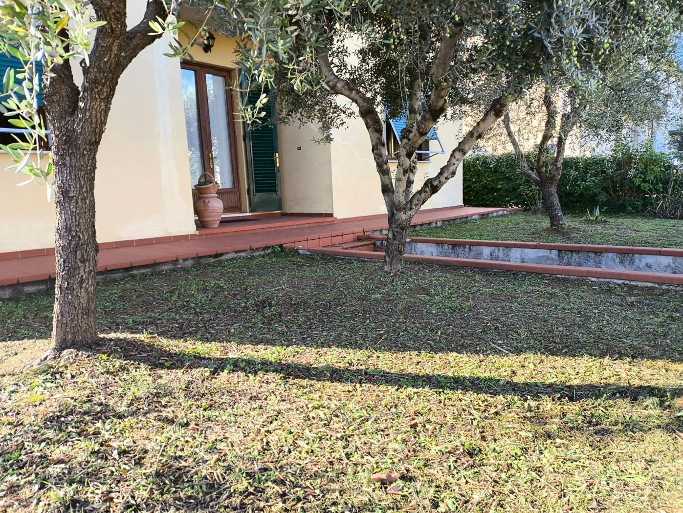 Giardino