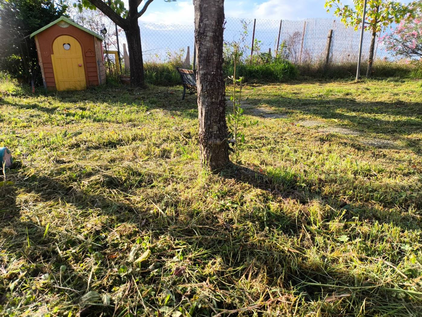 Terreno