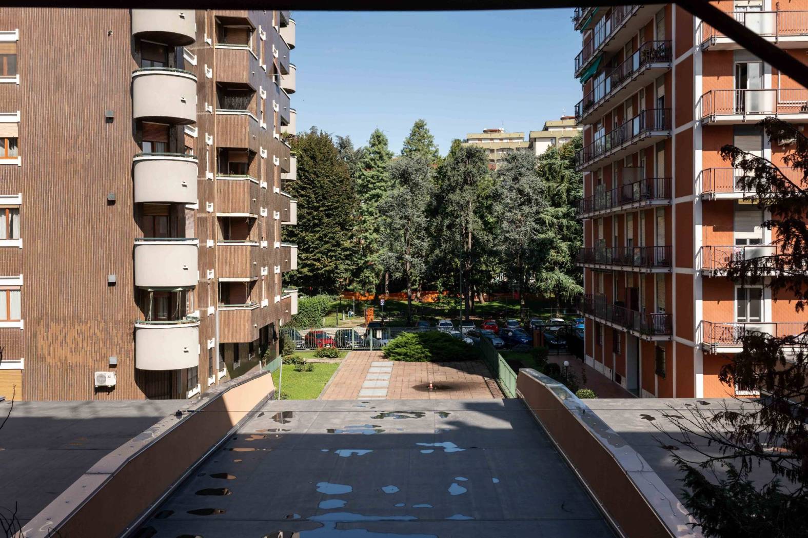 Giardino