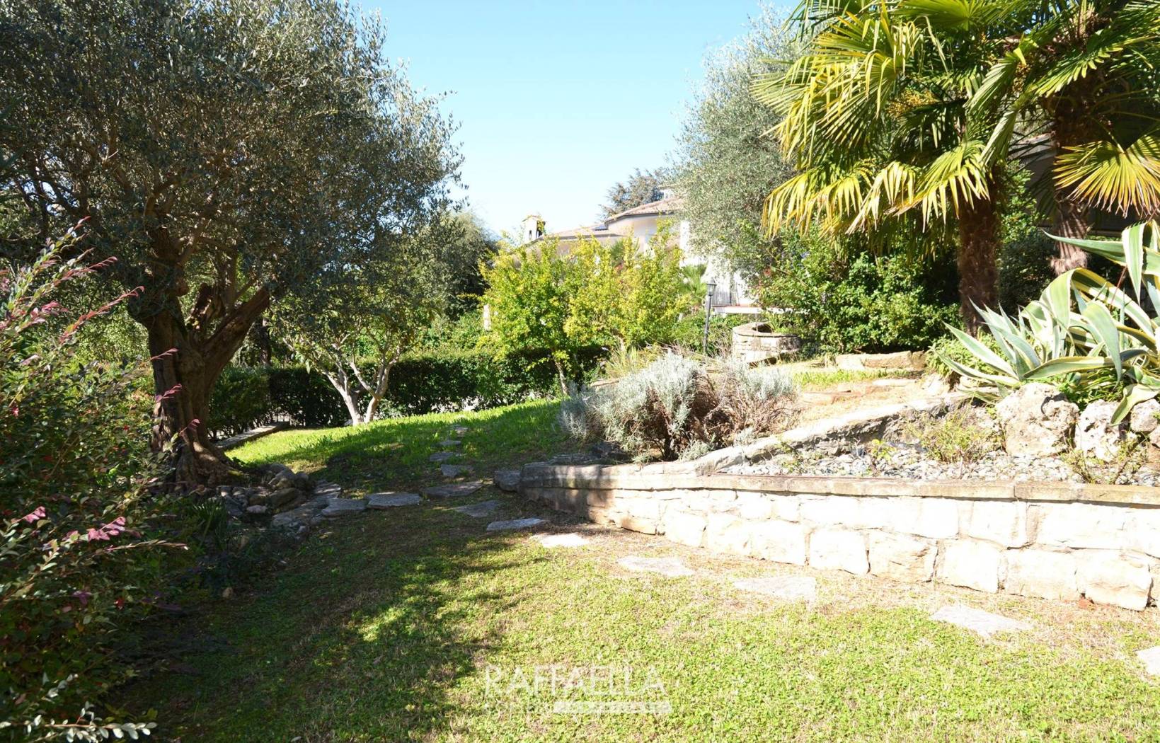 Giardino